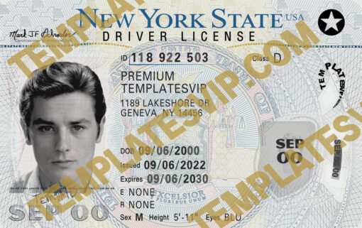 New York (NY) – Drivers License PSD Template Download 2023 V3  UV LAYER 2400DPI