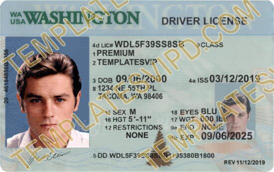 Washington (WA) Drivers License PSD Template Download Editable PSD Template 2022 V2 OVI  2400dpi