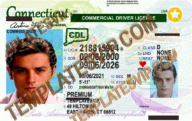Connecticut (CT) – Commercial  Drivers License PSD Template Download 2022 OVI UV 2400DPI