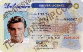 Delaware (DE) – V2 Drivers License PSD Template Download 2022 2400DPI