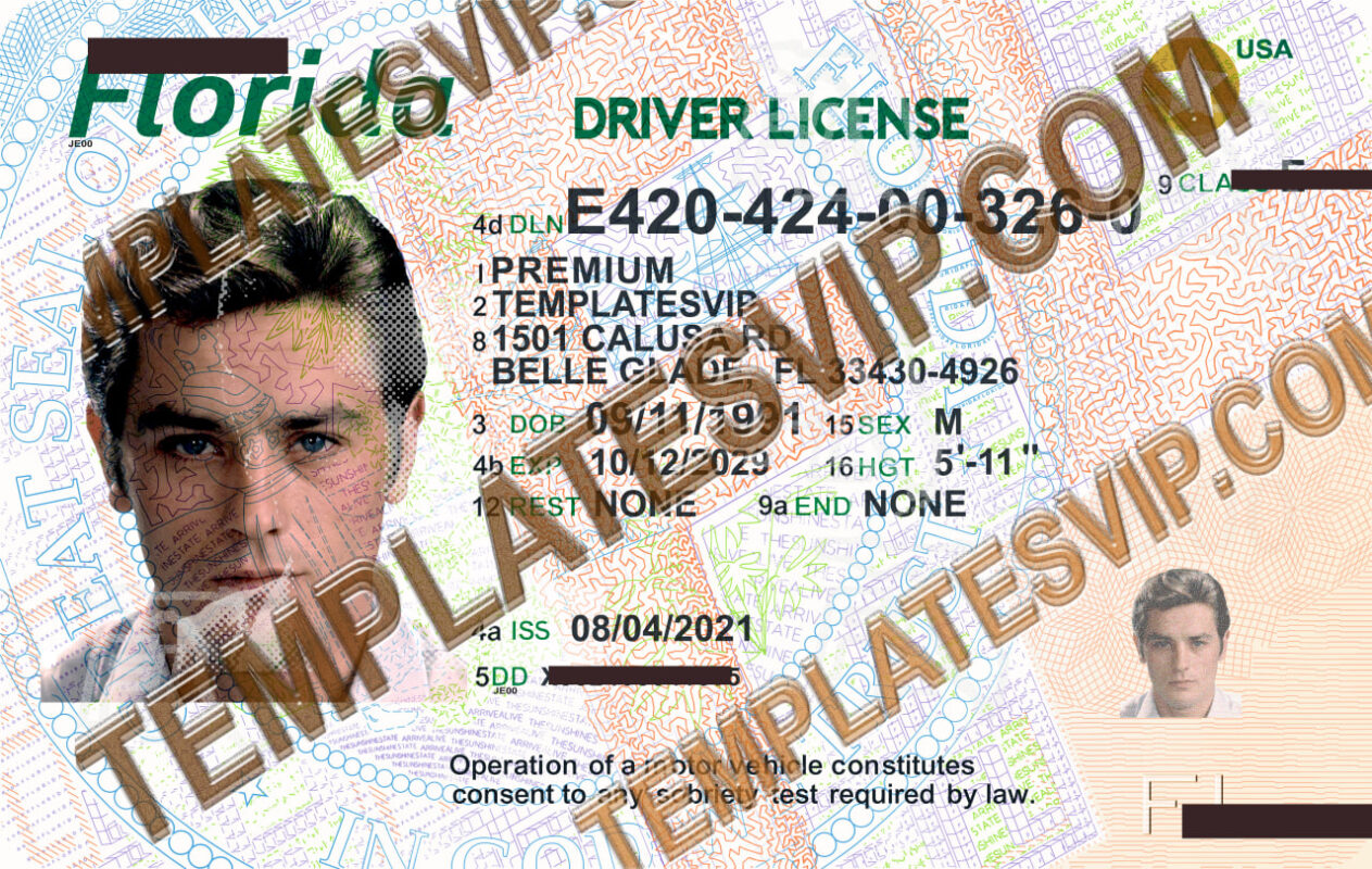 Templates Usa Templates Drivers Licenses Premium 5910