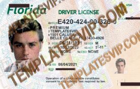 Florida (FL) V2 – Driver’s License PSD Template Download 2021 UV  Hologram Layer 2400DPI