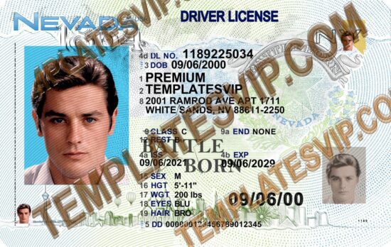 Nevada (NV) – Drivers License V3 PSD Template Download 2023 UV 2400Dpi