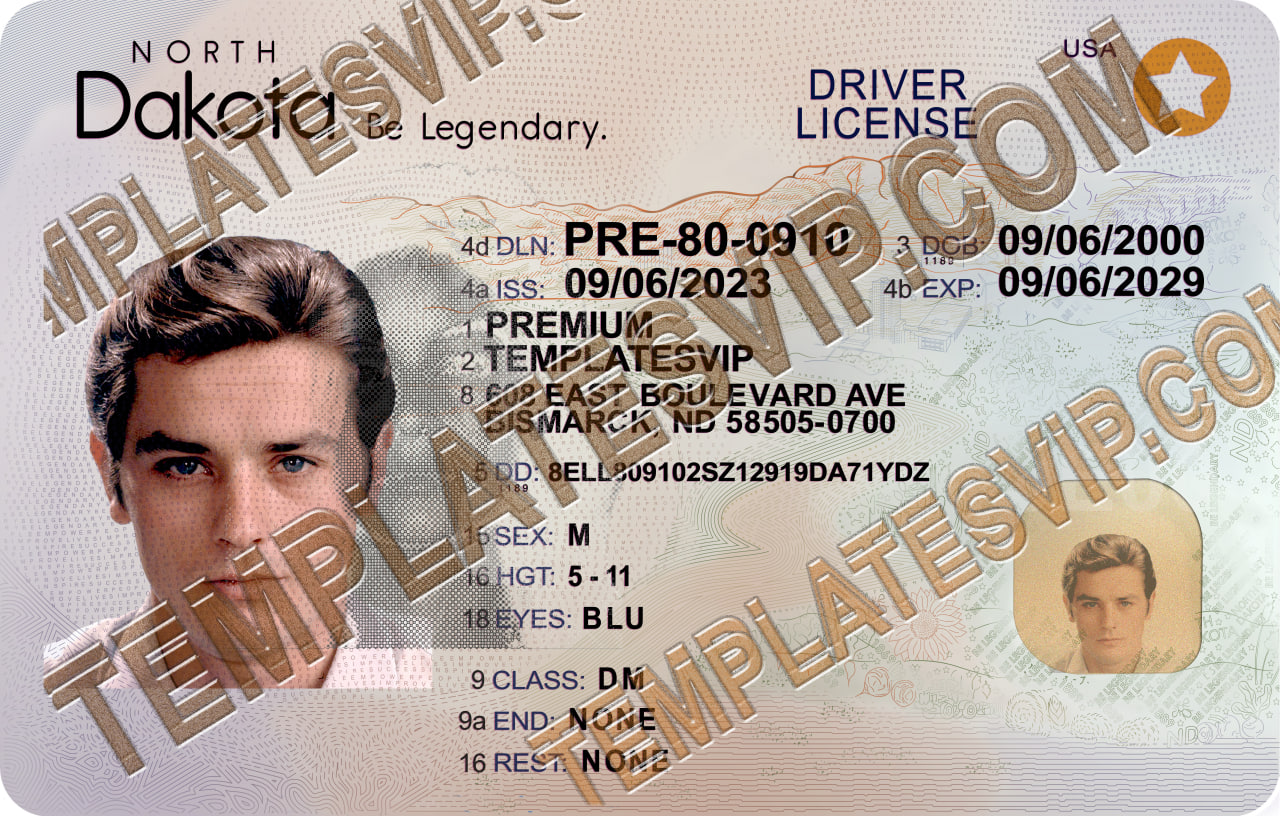 Driver’s License Templates – Templates drivers licenses premium