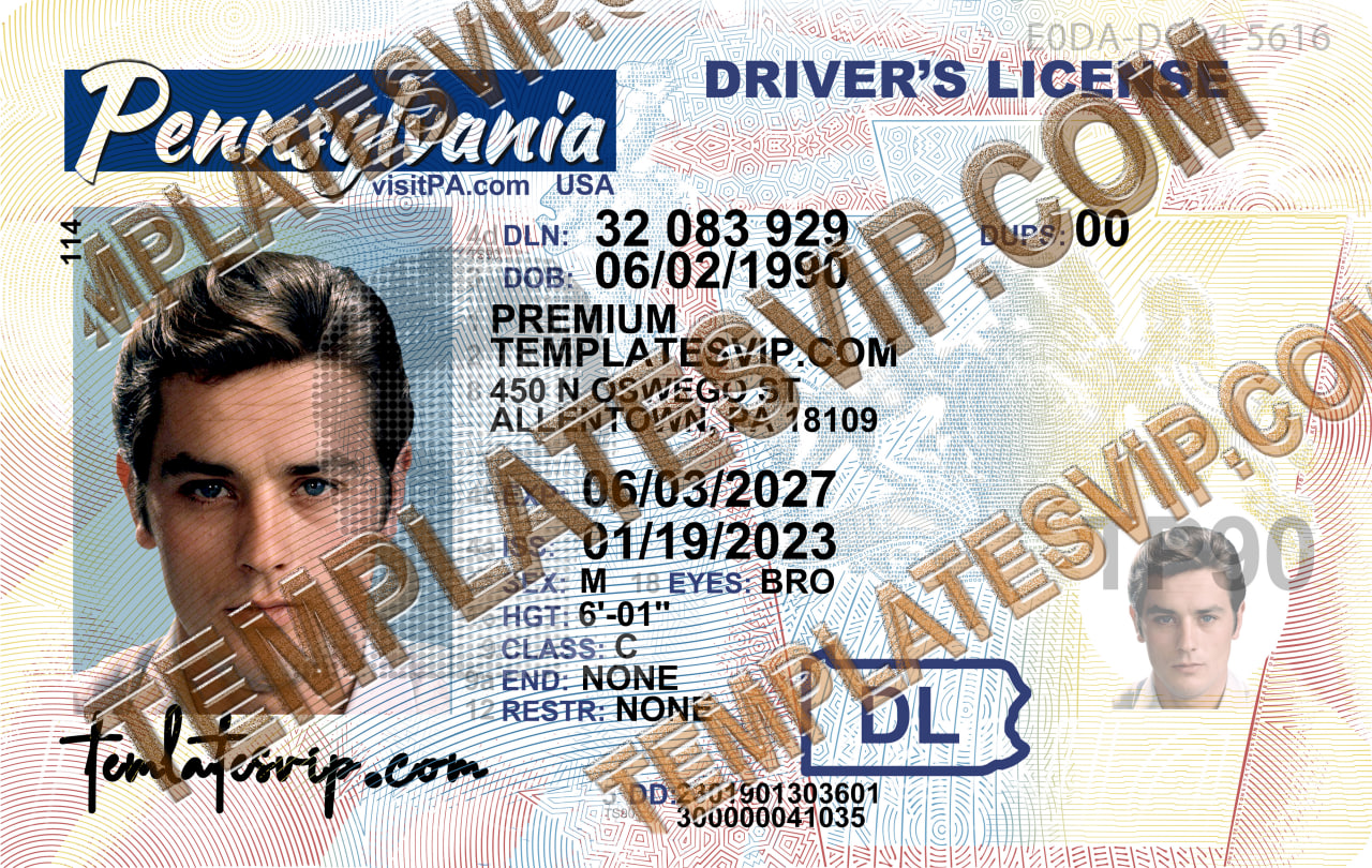 Pennsylvania (PA) – Drivers License PSD Template Download 2023 V3 UV ...