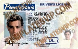 Pennsylvania (PA) – Drivers License PSD Template Download 2023 V3 UV Layer 2400dpi