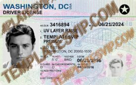 Washington DC (DC) V2 – Drivers License PSD Template Download 2024 2400 UV Raise
