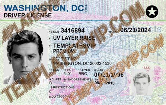 Washington DC (DC) V2 – Drivers License PSD Template Download 2024 2400 UV Raise