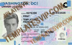 Washington DC (DC) – Drivers License PSD Template Download 2024 2400DPI