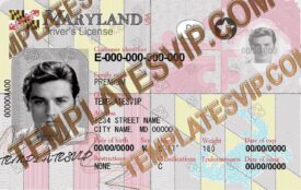 Maryland (MD) – V2 Drivers License PSD Template Download 2021 UV HOLOGRAM  2400DPI