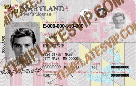 Maryland (MD) – V2 Drivers License PSD Template Download 2021 UV HOLOGRAM  2400DPI