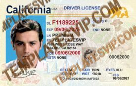 California (CA) V5 – Drivers License PSD Template Download 2022 UV HOLO Layer 2400DPI