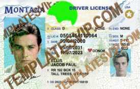 Montana (MT) – V2 Drivers License PSD Template Download HOLO UV 2400DPI