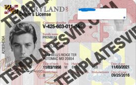 Maryland (MD) – V2 Drivers License PSD Template Download 2021 UV Hologram Raise 2400DPI