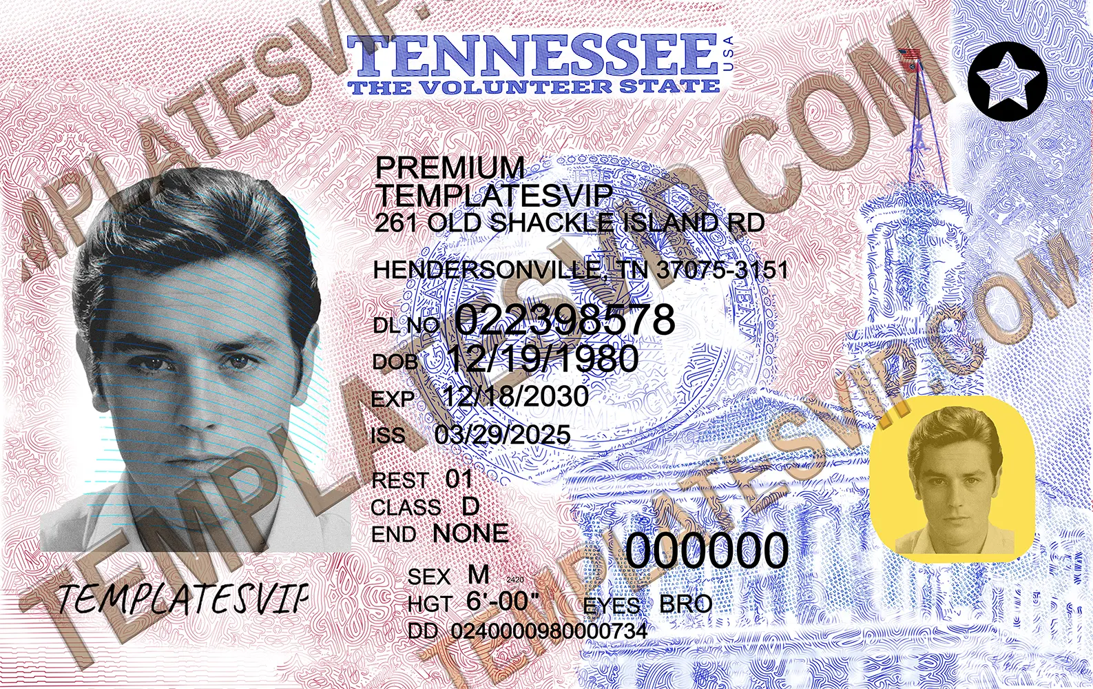 Tennessee (TN) – Driver’s License PSD Template Download 2024 UV Layer 2400dpi