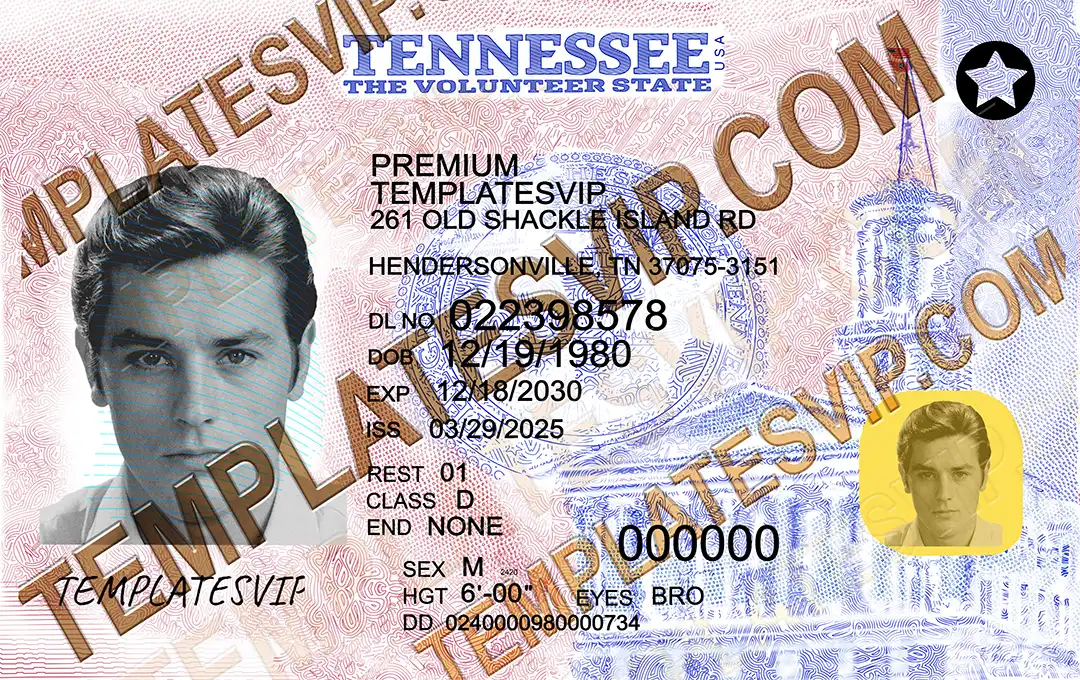Tennessee (TN) – Driver’s License PSD Template Download 2024 UV Layer 2400dpi