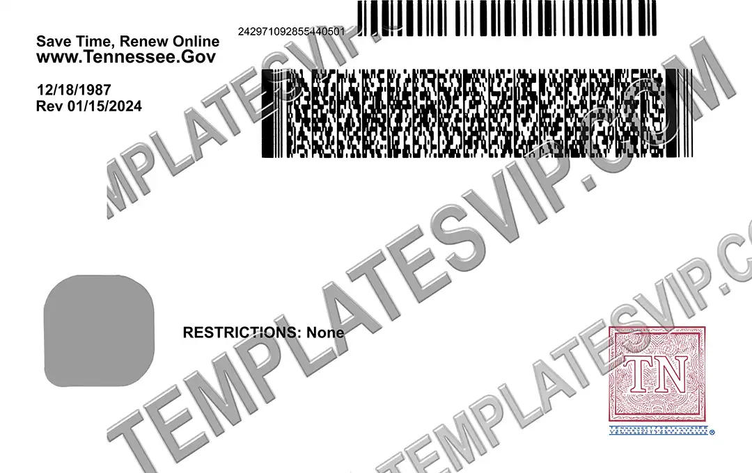 Tennessee (TN) – ID Card PSD Template Download 2024 UV 2400dpi BACK