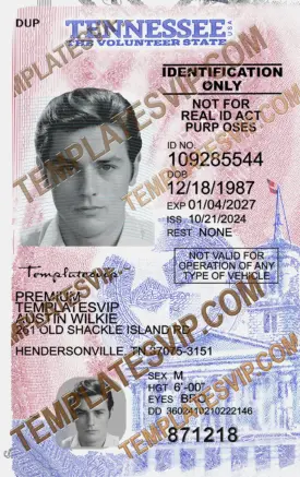 Tennessee (TN) – ID Card PSD Template Download 2024 UV 2400dpi