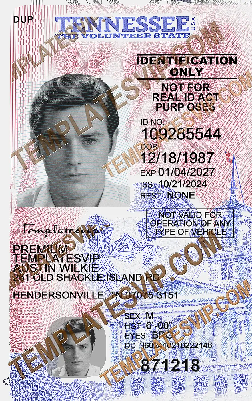 Tennessee (TN) – ID Card PSD Template Download 2024 UV 2400dpi