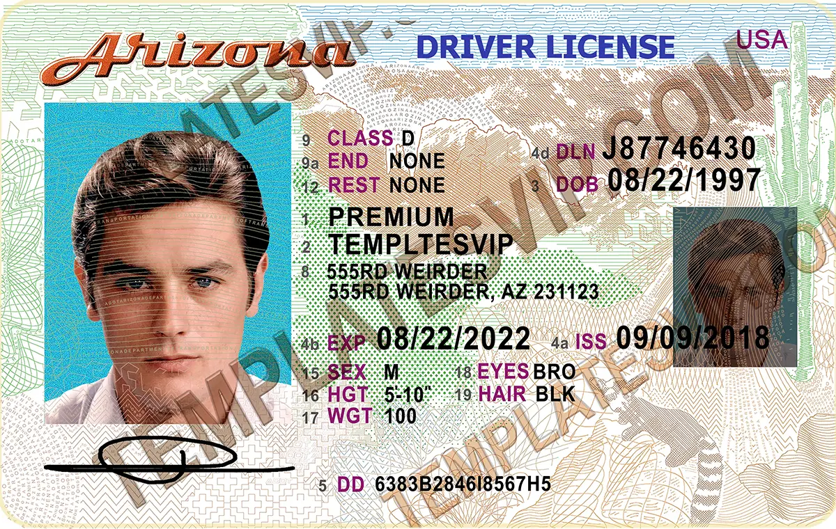 Arizona (AZ) – V2 Drivers License PSD Template Download 2022 UV Layer from
