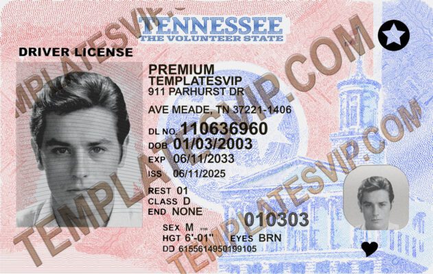 Tennessee (TN) – V2 Driver’s License PSD Template Download 2024 UV Layer 1200dpi