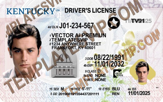 Kentucky (KY) – V3 Drivers License Ai Vector Template Download 2022 UV LAYER Holo  3200dpi