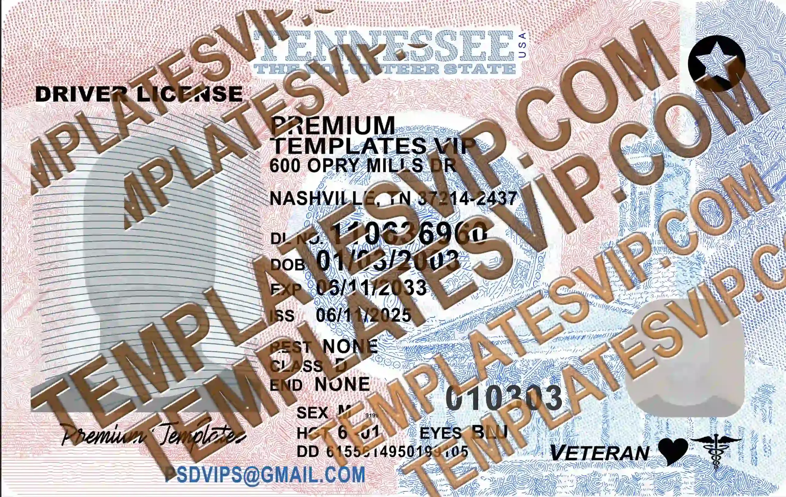 Tennessee (TN) V3 – Driver’s License Ai Template Download 2025 UV Layer Vector