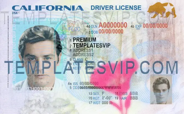 California (CA) – V3 Drivers License PSD Template Download 2026 UV Layer 2400DPI