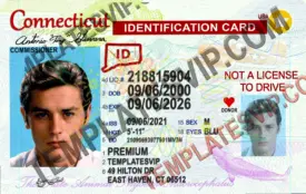 Connecticut (CT)  – ID Card PSD Template Download 2024 UV 2400dpi