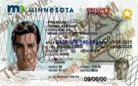 Minnesota (MN) – Driver’s License PSD Template Download 2023 UV Layer