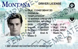 Montana (MT) –  Drivers License PSD Template Download 2026 Oly From