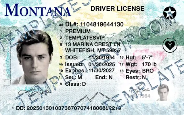 Montana (MT) –  Drivers License PSD Template Download 2026 Oly From