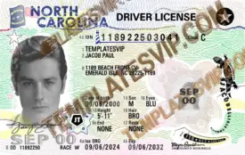 North Carolina (NC)  V2 – Drivers License PSD Template Download 2024 2400DPI