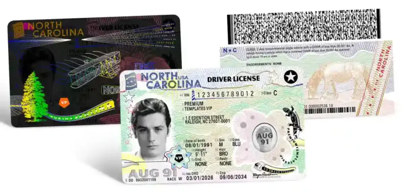 North Carolina (NC) – V3 Drivers License Ai Template Download 2025 Vector