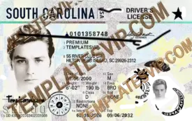 South Carolina (SC) – Drivers License PSD Template Download 2026 UV Releases