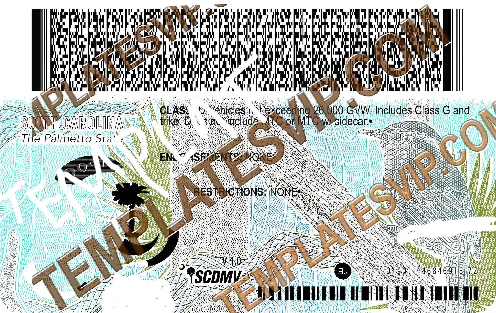 South Carolina (SC) – Drivers License PSD Template Download 2026 UV Layer 2400DPI Back